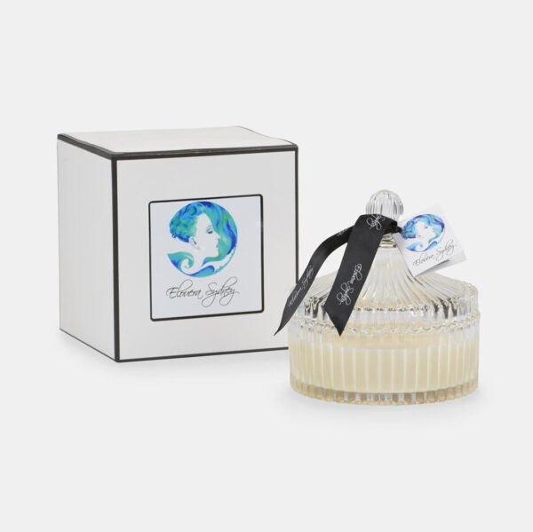 Large-clear-carousel-with-box-1