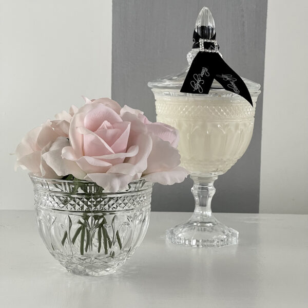 Elite Duo - Clear 1 Elite Duo - Clear 1