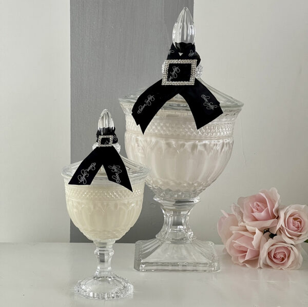 Elite Dynamic Duo - Clear 1