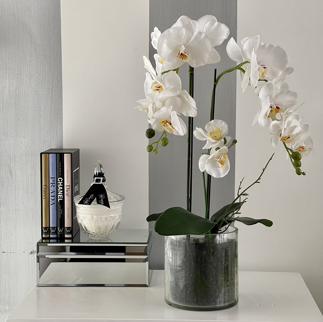 Large Phalaenopsis Orchid - Glass Vase 1 Large Phalaenopsis Orchid - Glass Vase 1